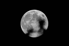 BlueMoon2.jpg