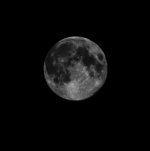 DSCN8943.jpg