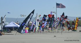 kite fest 462.jpg
