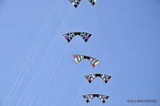 kite fest 602-001.jpg