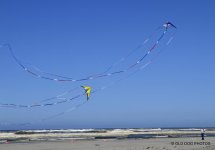 kite fest 589.jpg