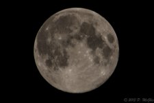 DSC_2861.jpg