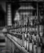 tempfence-1.jpg