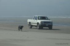 DAY 11 RT 1 015.jpg