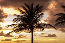 Sunrise8.jpg