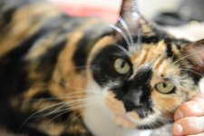 DSC_1349.jpg