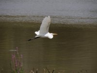 DSCN9091.jpg