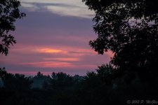 DSC_2933.jpg