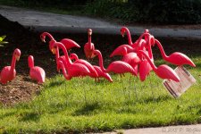 DSC_2943.jpg
