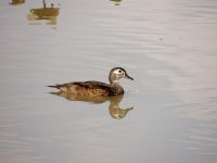 DSCN9143.jpg