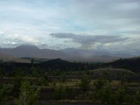DSCF0163.jpg