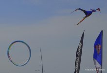 DAY 12 RT 1 200.jpg