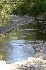 235 Choconut Creek-130823-11_01.jpg