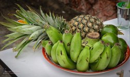 fruitplate-1.jpg