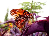 DSCN9770.jpg