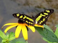 DSCN9791.jpg
