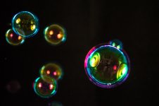 July 29, 2013_0288-3.jpg