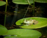 DSC_4605_7337.jpg