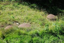 236 Ant Hills-130824-02_01.jpg