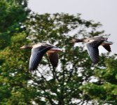 DSC_9725.JPG