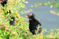 DSC_9694.JPG