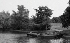 DSC_9740.jpg