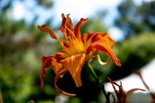 DSC_3098.jpg