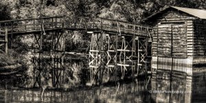 DSC_4616_7348_tonemapped-2.jpg