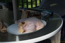 DSC_3106.jpg DSC_3106.jpg