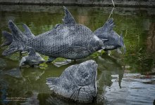 fish-1.jpg