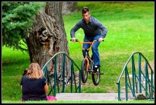Day237Bike.jpg