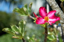 DSC_1851.jpg