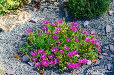 DSC_9863.jpg
