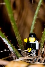 Macro man-1-3.jpg