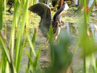 DSCN9310.jpg