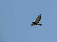 DSCN9318.jpg