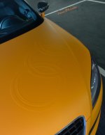 Audi rings - WM.jpg
