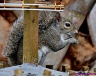 DSC_0224_001.JPG