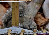 DSC_0225_001.JPG