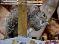 DSC_0227_001.JPG