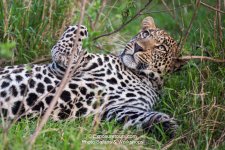 exposuretours_DSC1581.jpg