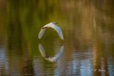 _DSC2968-topaz-rawdenoise-sharpen-lighting-2.jpg