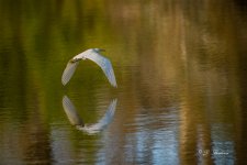 _DSC2968-topaz-rawdenoise-sharpen-lighting-3.jpg