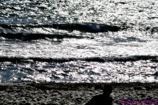 DSC_0238_001.JPG