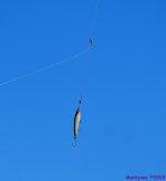 DSC_0257_001.JPG