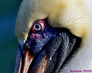 DSC_0280_001.JPG