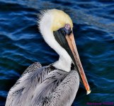 DSC_0286_001.JPG