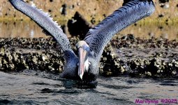 DSC_0359_001.JPG