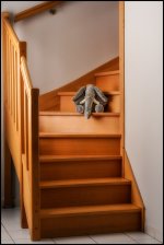 bear_stairs_colorefex.jpg