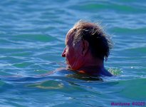 DSC_0429_001.JPG